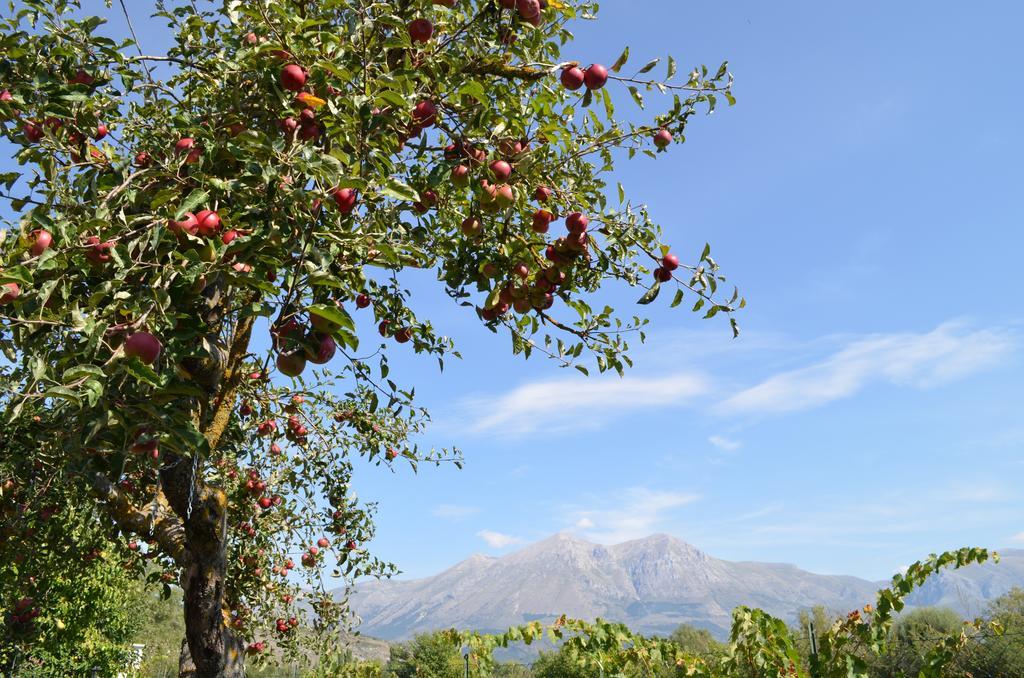 Agriturismo Villa Palentina Scurcola Marsicana Dış mekan fotoğraf
