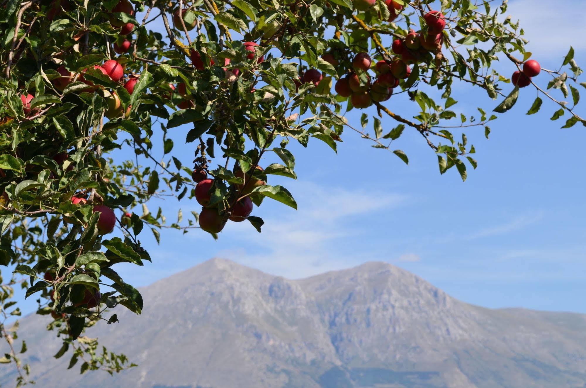 Agriturismo Villa Palentina Scurcola Marsicana Dış mekan fotoğraf