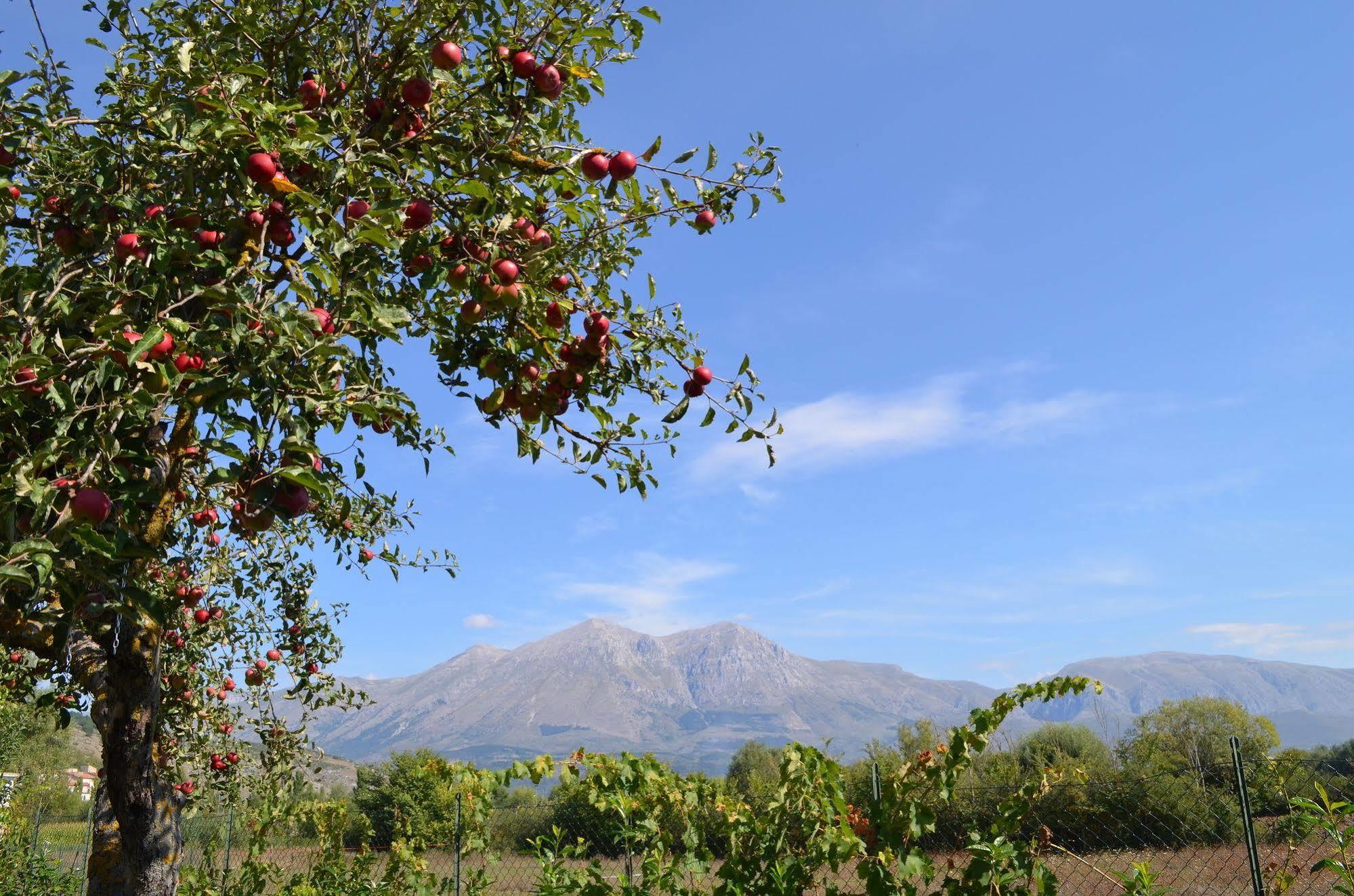 Agriturismo Villa Palentina Scurcola Marsicana Dış mekan fotoğraf